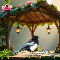 Free online flash games - Songbird Forest Escape