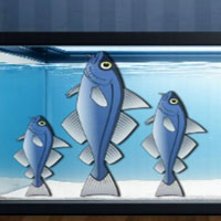 Free online flash games - Find Playful Sea Buddy Finn