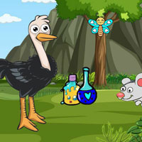 Free online flash games - Finds The Ostrich Eggs