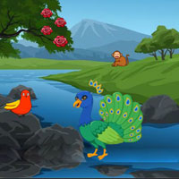 Free online flash games - BIG Conserve The Peacock Companion