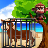 G2M Seaside Struggle