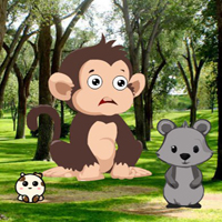 G2R Feed The Famished Monkey