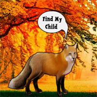 Find The Fox Child 