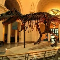 Historical Museum Escape HTML5