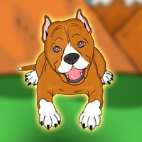 Rescue The Staffy Dog
