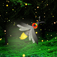 Fireflies Night Forest Escape