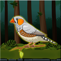 G2J Cute Zebra Finch Rescue