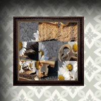 Free online flash games - Amgel Easy Room Escape 348