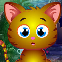 G4k Alley Cat Rescue