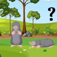 Free online flash games - Barn Animal Rescue