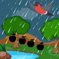 Free online flash games - G2M Rainy Bison Rescue