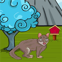 Games2JollyTiger Quoll Rescue