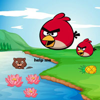 Free online flash games - BIG Preserve Dangerous Situation Squirrel