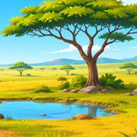 Free online flash games - Roach Net Escape