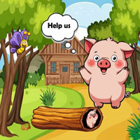 Free online flash games - G2R Save Wooden Stuck Tiny Piggy