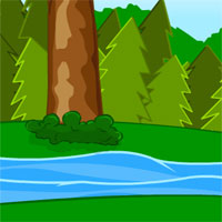 SD Coastal Forest Escape