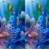 Secrets of The Deep