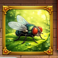 Free online flash games - Discover Mighty Kid Veer