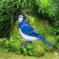 Free online flash games - Help The Blue Jay Bird HTML5