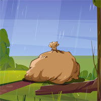 Free online flash games - G2L Fox Freedom Escape