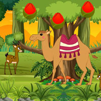 Free online flash games - BIG Stucked Camel Reach Desert