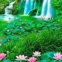 Nature Forest Way Escape HTML5