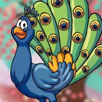 G2J Find The Peacock Feathers