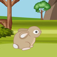 Free online flash games - Lion Family Escape