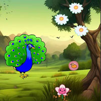 Free online flash games - Help To Visit Peacock Pal