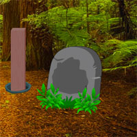 AvmGames Escape Pretty Bird