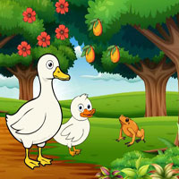 Free online flash games - G2R Feed Hungry Duck Family