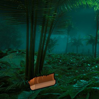 Rainforest Landscape Jungle Escape