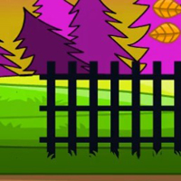 G2L Yellow Bird Rescue Html5