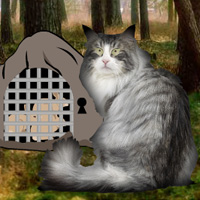 Wowescape Norwegian Cat Forest Escape