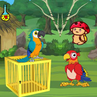 Free online flash games - BIG Release Trapped Macaw Buddy