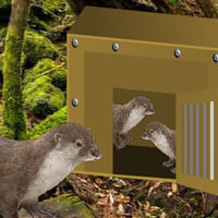 Escape from Primitive Forest