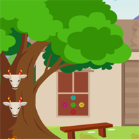AVM Escape The Adventure Forest Game