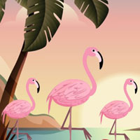 G2M Flamingo Rescue