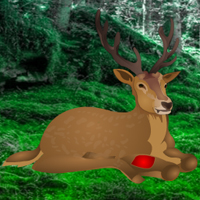 Save the Wounded Deer