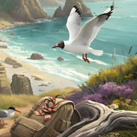 Free online flash games - Aussie Adventure