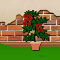 Free online flash games - 8B Hidden Orchard Puzzle Escape