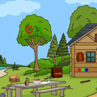 G4E Cute Turtle Escape