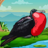 Free online flash games - Rescue The Frigate Bird