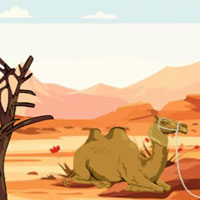 Free online flash games - Desert Dunes Camel Escape
