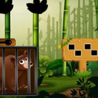 G2M smokey Bear Escape