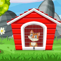 G2J Find The Cat House Key