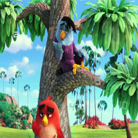 Angry Birds Movie