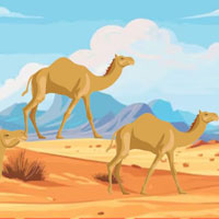 Free online flash games - Desert Camel Rescue