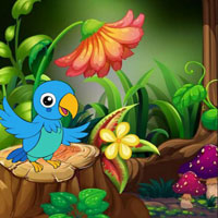 Free online flash games - Stuck Macaw Reached Hut