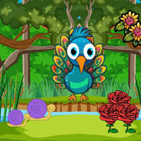 Free online flash games - G2R Infant Peacock Searching Mom